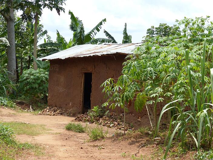 Ddembe's house
