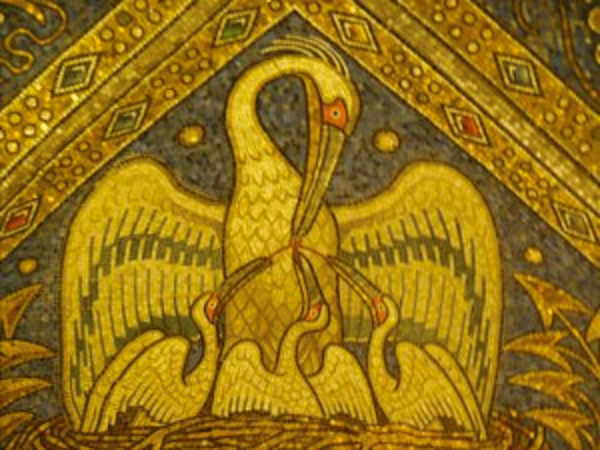 pelican