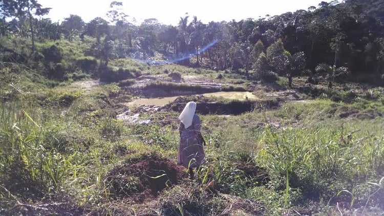 Fish_Pond_3