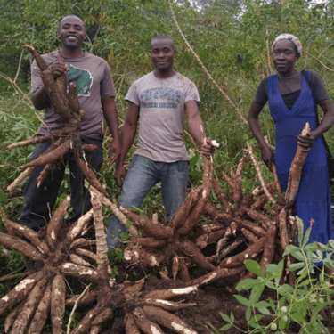 Feeding the Poor with community farming